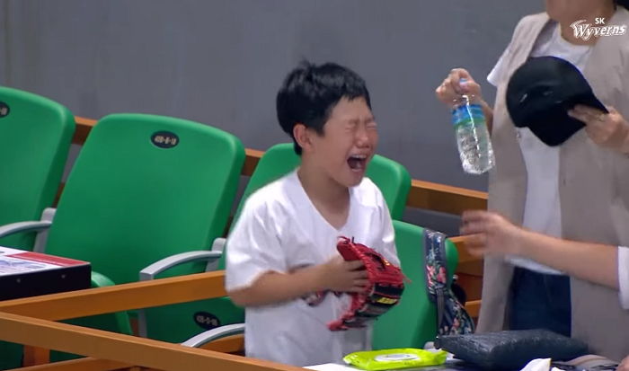 인사이트