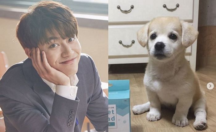 짱절미에 “과수원 이어 ‘태평양’까지 사주겠다” 구애 보낸 곽동연