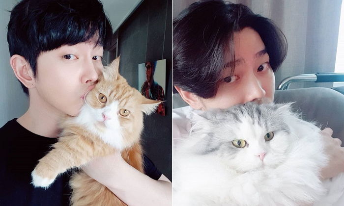 윤균상이 공개한 ‘삼시세끼’ 나왔던 개냥이 ‘쿵이·몽이’ 근황