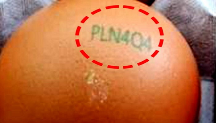 “‘이 코드’ 있으면 절대 먹지 마세요”…계란에서 또 발견된 ‘살충제’ 성분