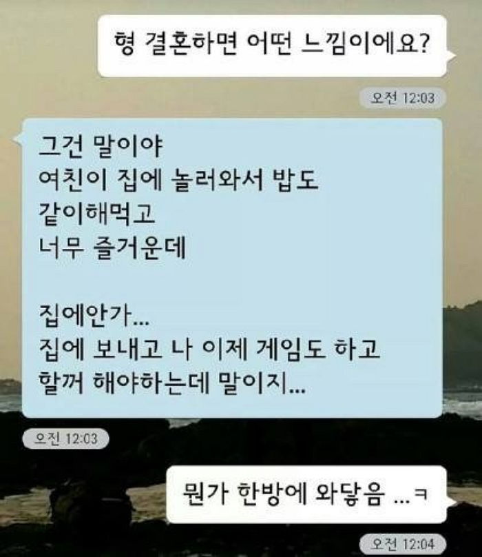 인사이트