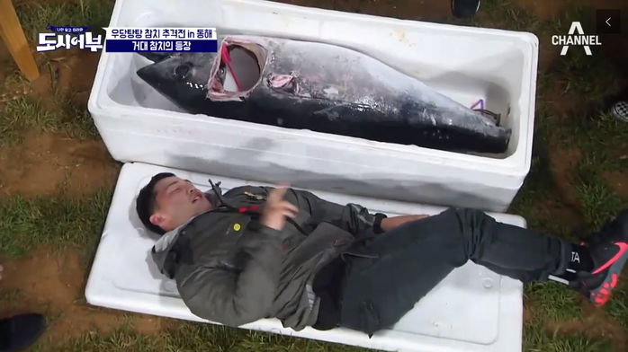 마이크로닷 덩치만큼 큰 140kg짜리 ‘참치’ 먹방 선보인 ‘도시어부’