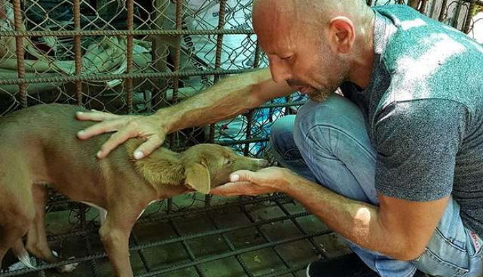 도살장서 자신 구해준 남성에게 ‘껌딱지’처럼 붙어있는 강아지