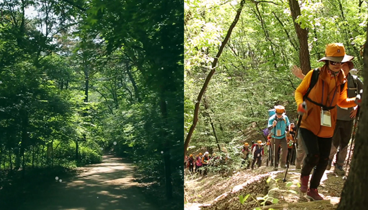 서울둘레길 ‘157km 완주’에 도전한 사람들에게 찾아온 4가지 변화