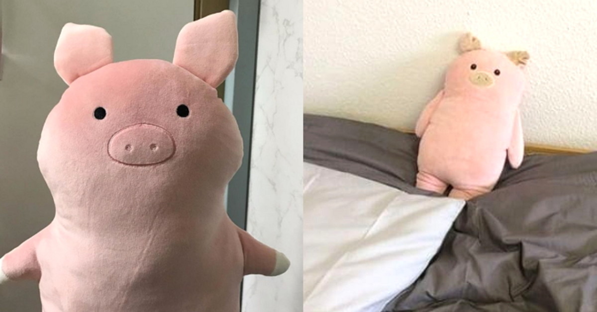 ‘말캉말캉 촉감심쿵 비주얼로 지갑 열게 만드는 다이소 ‘돼지 인형 인사이트