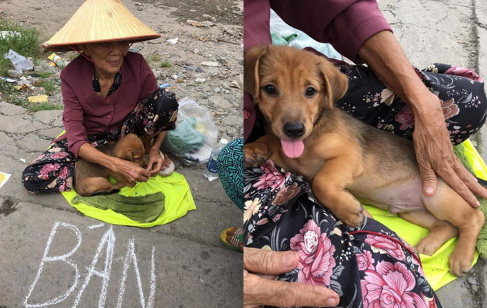 가난한 형편에 유일한 가족이었던 강아지 입양보내며 ‘마지막 뽀뽀’한 할머니