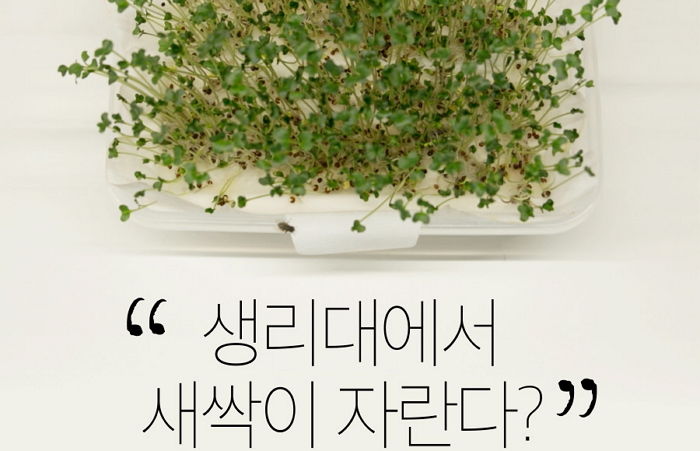 생리대에서 ‘라돈’ 검출됐다는 보도에 오늘습관이 내놓은 공식 입장