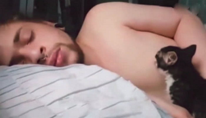 집사가 잠에 빠져 아침밥 안주자 배고팠던 ‘아기 고양이’의 다급한 반응