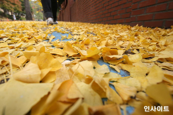 “따듯하게 입어요”…내일(25일) 일교차 ‘10도’ 넘는 가을 날씨 이어진다