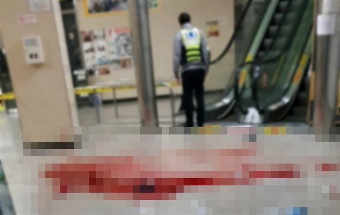 “‘PC방 살인마’ 김성수 동생, 공범 인정될 가능성 거의 없다”