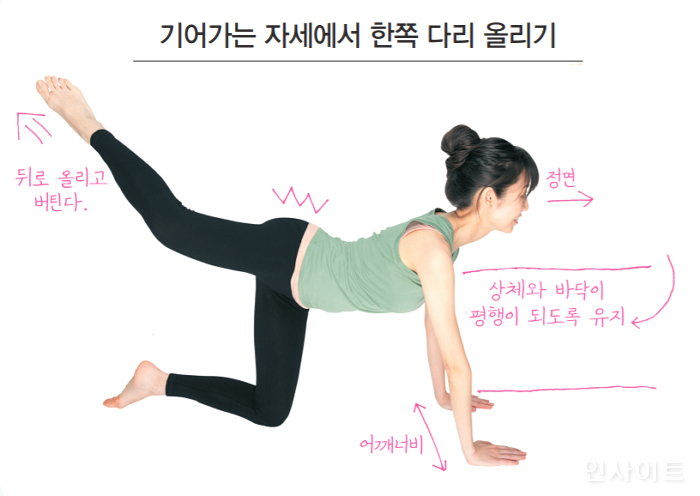 인사이트