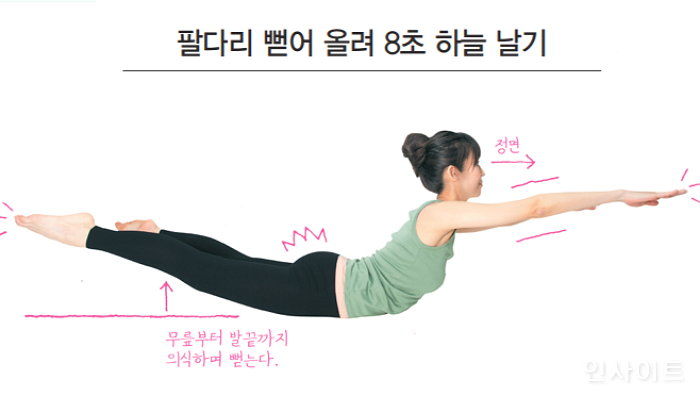 인사이트