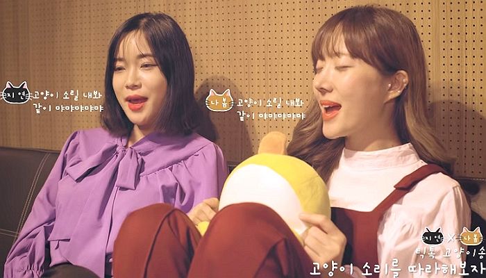 ‘틱톡 고양이 송’ 달콤하게 커버해 조회수 폭발하고 있는 가수