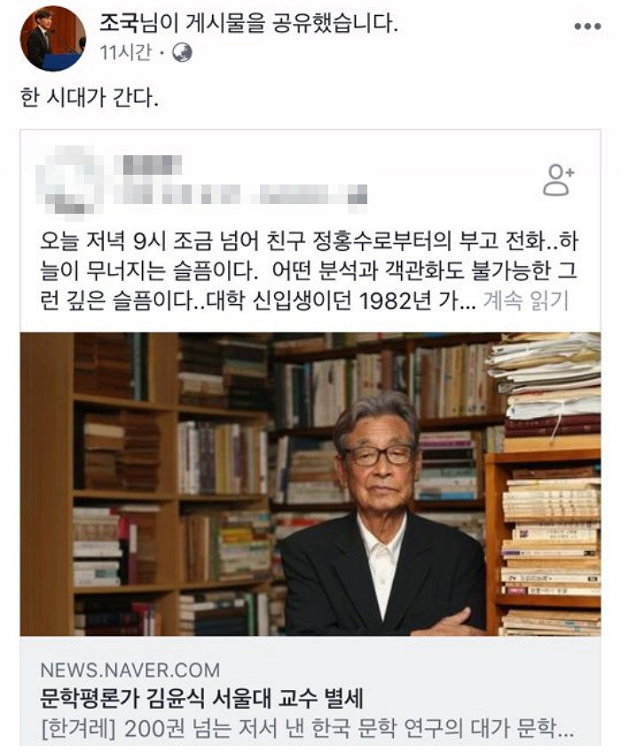김윤식 교수