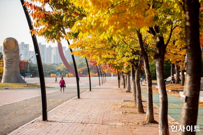 인사이트 / 사진=고대현 기자 daehyun@