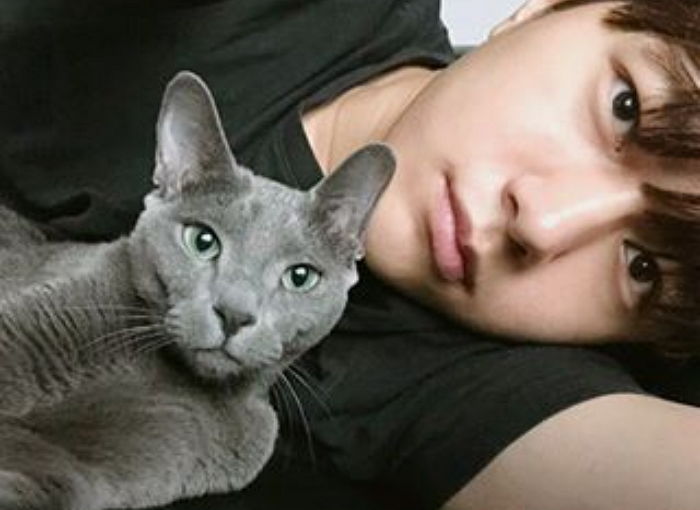 주인 닮아 잘생기고 귀엽고 다 한다는 ‘인피니트’ 엘 ‘반려묘’ 별이