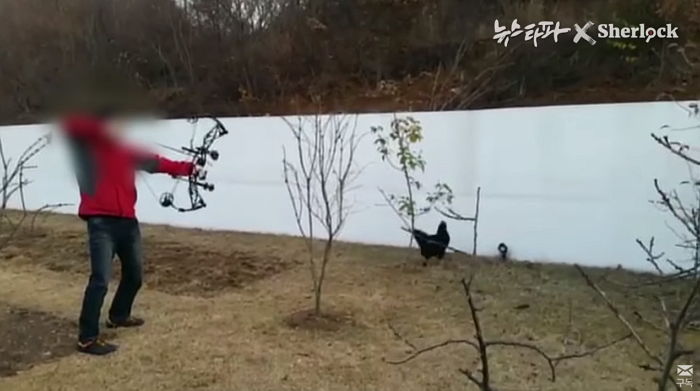 직원에게 ‘일본도’로 살아있는 닭 목 내리치라 강요한 양진호 회장