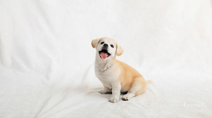 화보 촬영서 ‘인생샷’ 건져온 ‘셀럽’ 짱절미 포카