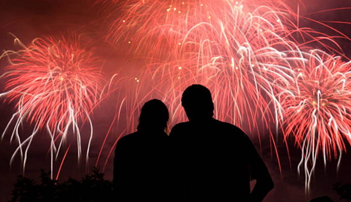 ‘불꽃놀이’ 소리에 놀라 1시간 내내 ‘공포+불안감’에 몸 덜덜 떤 강아지