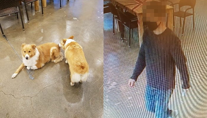 카페 인사이트 이미지