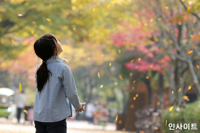 주말인 오늘(3일) 추위 누그러진다…“연인과 가을 소풍 가세요”