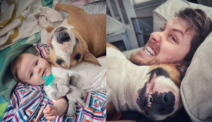 ‘외출’ 다녀온 주인이 잔뜩 ‘어질러진’ 집 보고도 반려견을 혼내지 못한 이유