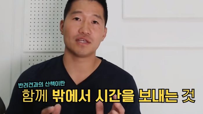 나이 들어 걷기 힘들어하는 우리집 댕댕이 위한 올바른 ‘산책법’