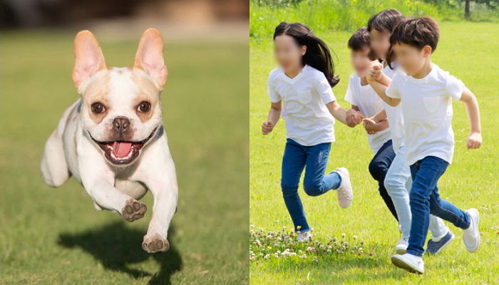 댕댕이 보호자들은 100% 공감할 ‘어린아이’ 피하는 이유