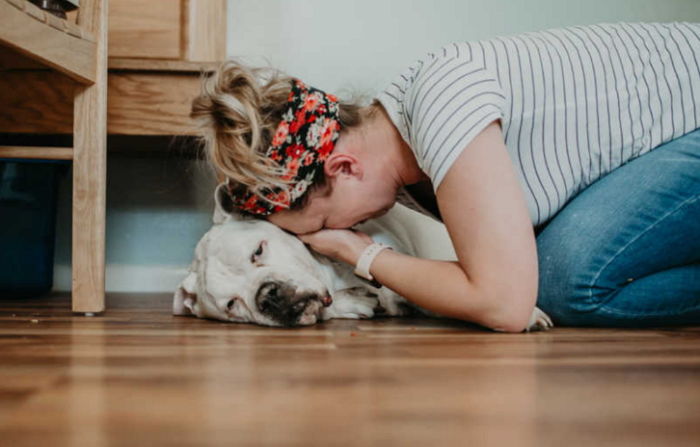 11년 키운 ‘반려견’ 무지개 다리 건너기 직전 ‘마지막 사진’ 찍으며 오열한 주인