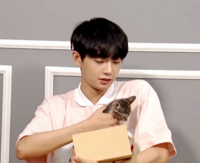 소속사가 보호하고 있다는 김용국 반려묘 ‘르시’의 충격적인 근황