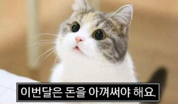 “돈 아껴 써 이 XX야!”…우리 통장 지켜주던 ‘전설의 짤’ 미묘 최근 근황