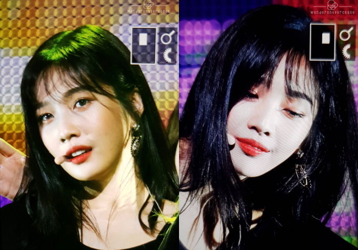 디지털조이 이미지