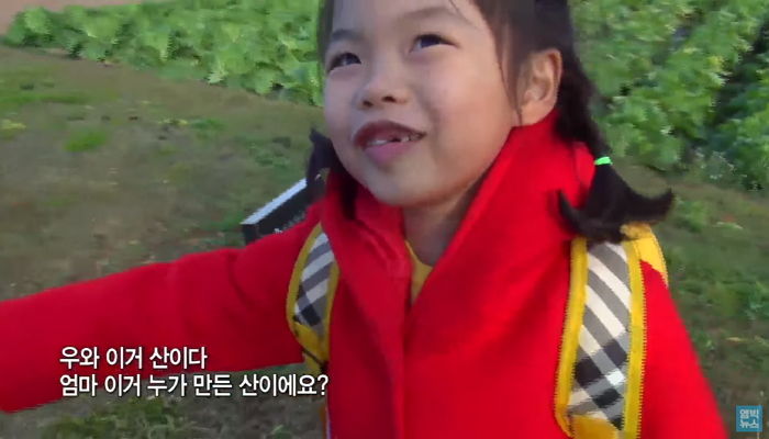 아빠 병원에 있는 줄로만 알고 처음 찾아간 아빠 무덤 ‘산’이라고 말한 6살 딸