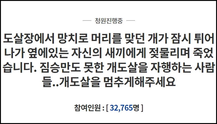 도살장서 망치에 맞은 어미개는 도망치지 않고 새끼에게 다가가 ‘마지막 젖’을 물렸다