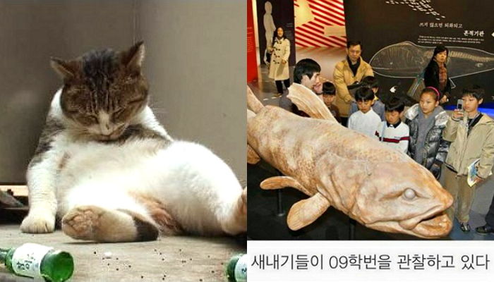 연말 다가오면서 “나이 ‘한 살’ 또 먹었다”는 느낌이 오는 순간 6