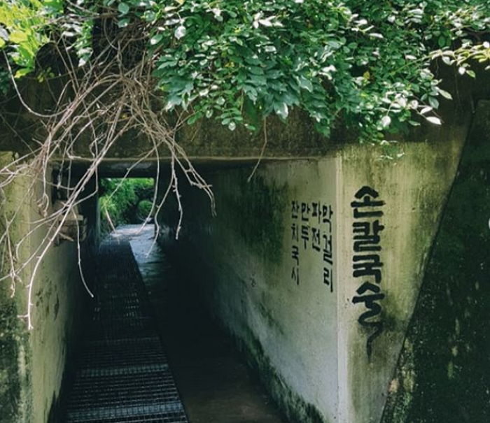 신비로운 굴다리를 지나야만 도착할 수 있는 ‘센과 치히로’에 나올 법한 어느 칼국수집