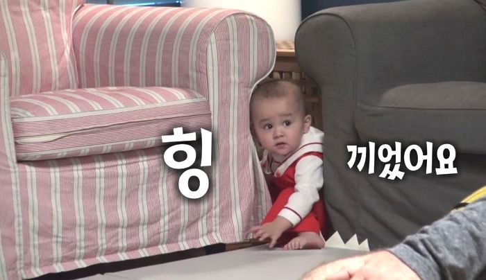 윌리엄 형이 뺏어간 누룽지 되찾으려다 ‘소파’ 사이에 껴버린 ‘쪼꼬미’ 벤틀리