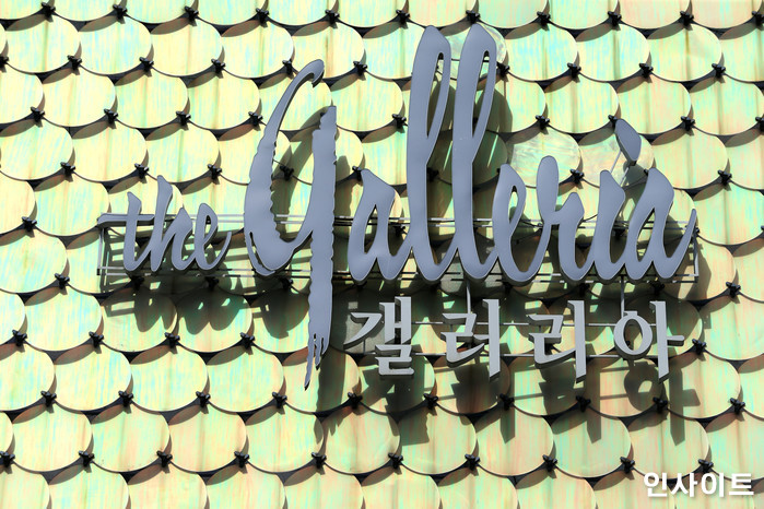 인사이트 / 사진=인사이트