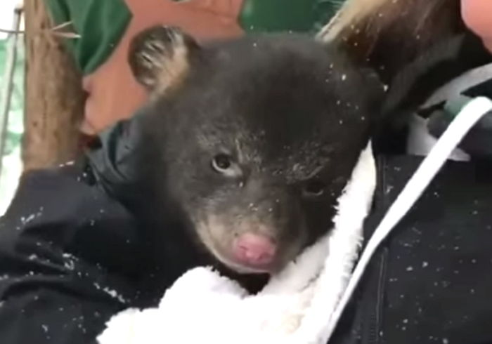 눈 맞고 너무 추워 사육사 품에 폭 안긴 ‘곰생 1회차’ 아기 불곰