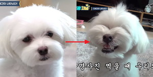 미소 이미지