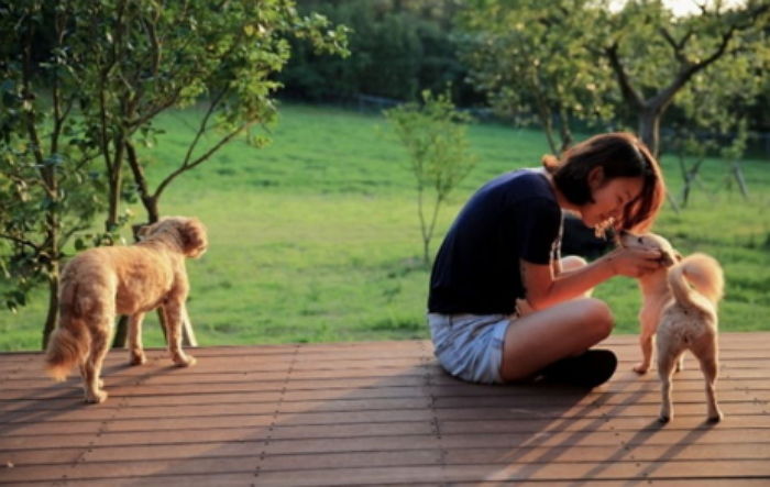 반려견이 당신에게 매일 “사랑해”라고 말하고 있는 증거 5가지