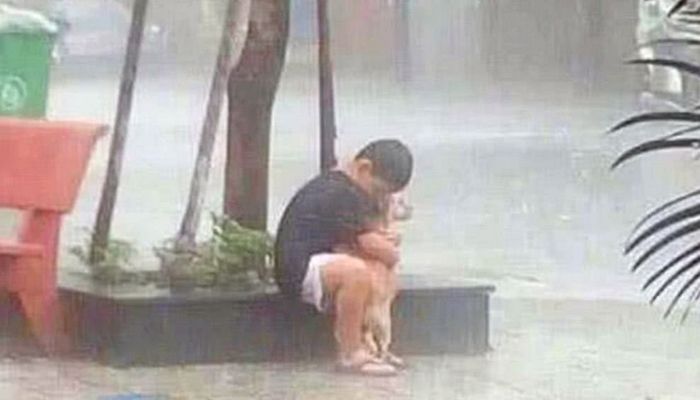 ‘폭우’가 쏟아지던 날 만난 유기견과 가슴이 따뜻한 소년, 잠시 뒤 ‘기적’같은 일이 벌어졌다