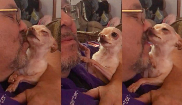 주인 ‘뽀뽀세례’ 멈추자 더 해달라고 직접 입술에 얼굴 부비는 댕댕이