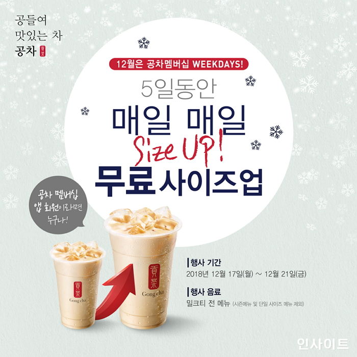 인사이트