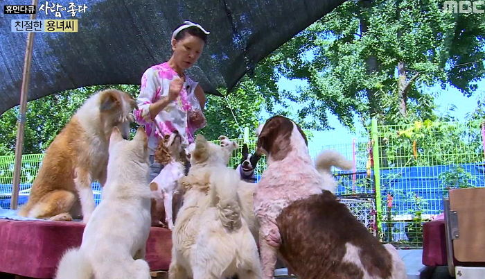 어릴 때부터 모아둔 돈 버림받은 유기견 ‘1500마리’ 돌보는데 모두 쓴 배우