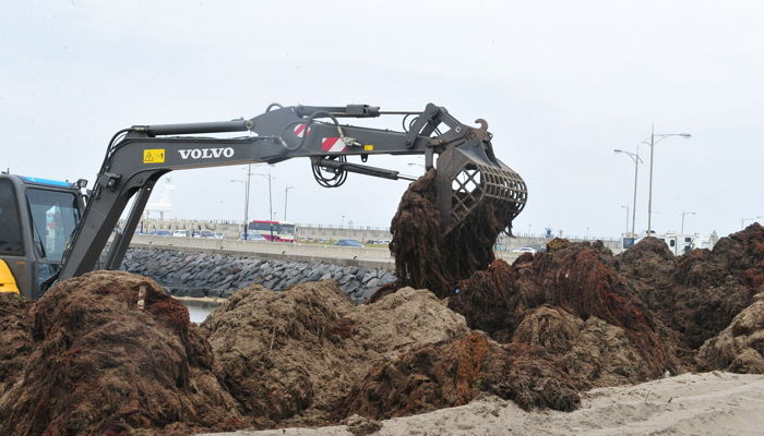 전남 해남서 목에 노끈이 묶인 채 1m 땅속에 묻혀있던 남성의 시신이 발견됐다