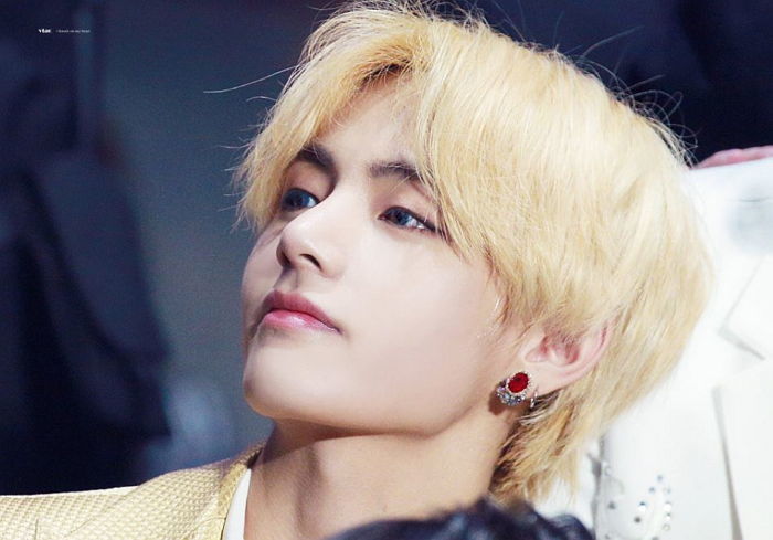 방탄소년단 뷔 생일 맞아 ‘멸종 위기’ 호랑이 입양한 팬들