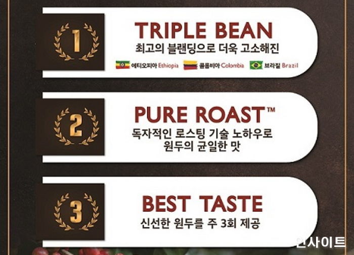 인사이트