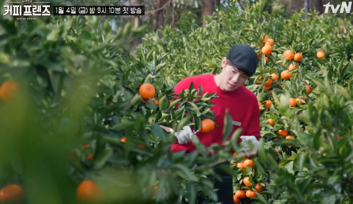 잘생긴 알바생이 직접 커피 만들어 서빙해주는 나영석 예능 ‘커피프렌즈’ 예고편