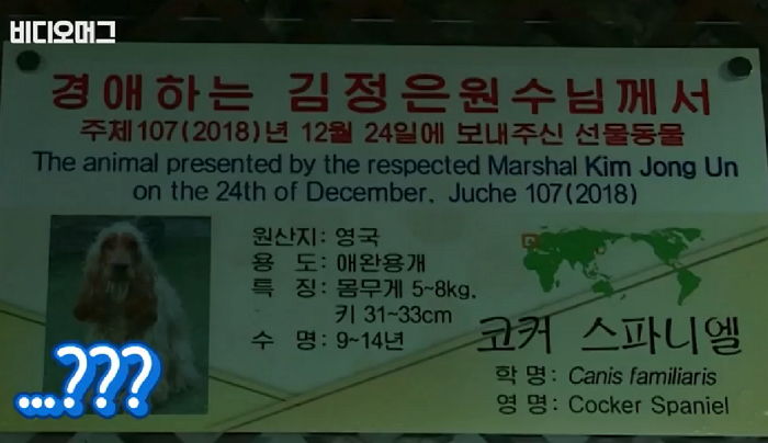 北 김정은이 북한 최고 동물원에  ‘특별’ 하사했다는 ‘희귀동물’의 정체